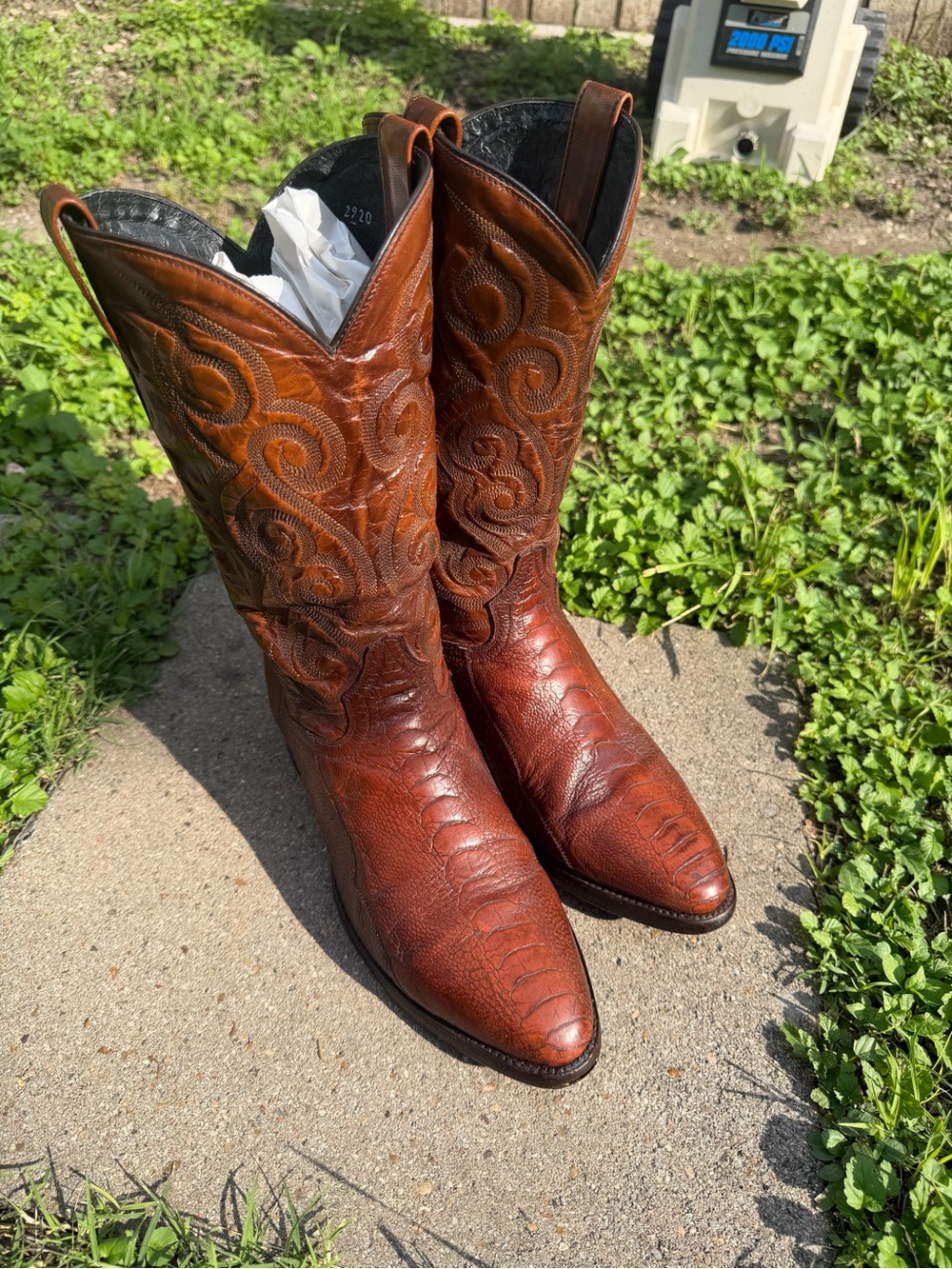 Dan Post Exotic Leather Ostrich Leg Cowboy Boots Mens 9.5 EE Cognac Western